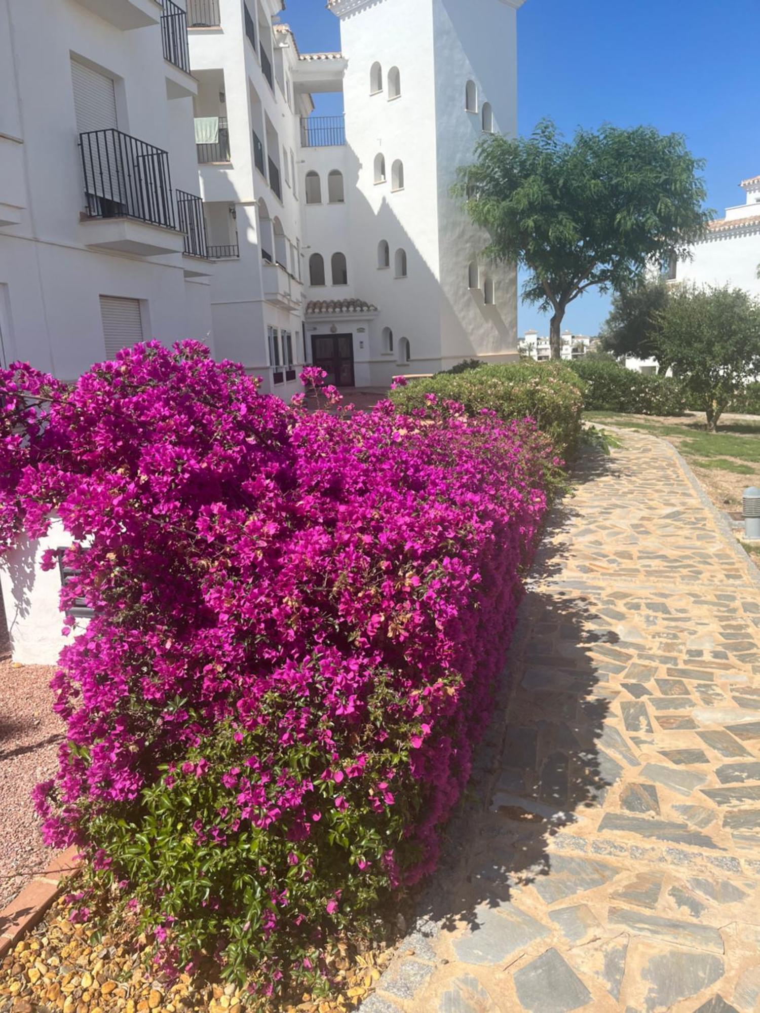 La Casa Rosita, Hacienda Riquelme Golf Resort Sucina مرسية المظهر الخارجي الصورة